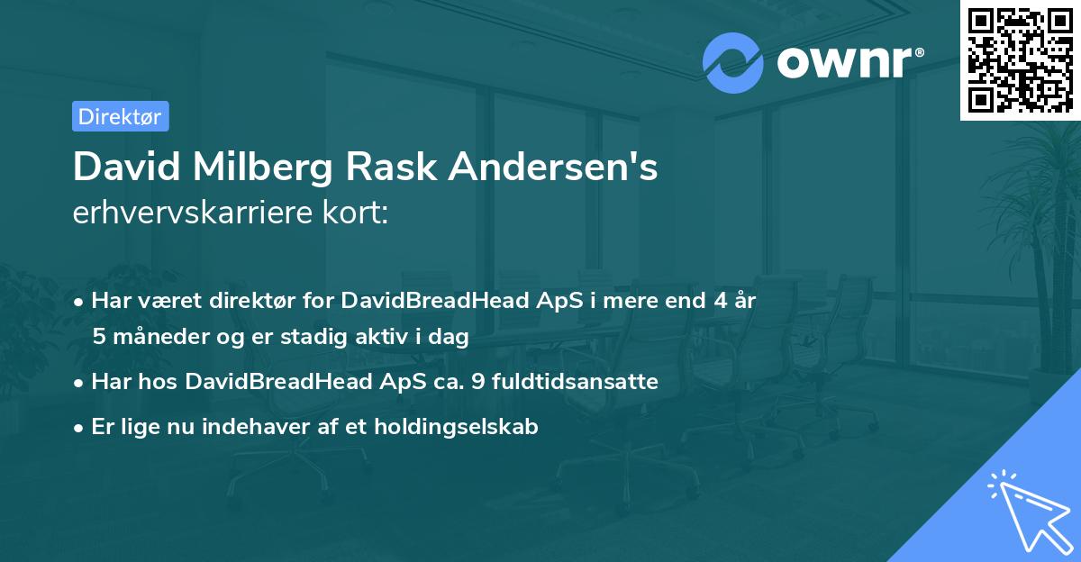 David Milberg Rask Andersen's erhvervskarriere kort