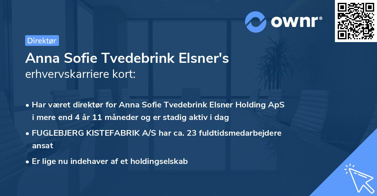 Anna Sofie Tvedebrink Elsner's erhvervskarriere kort