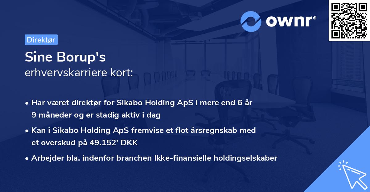 Sine Borup's erhvervskarriere kort