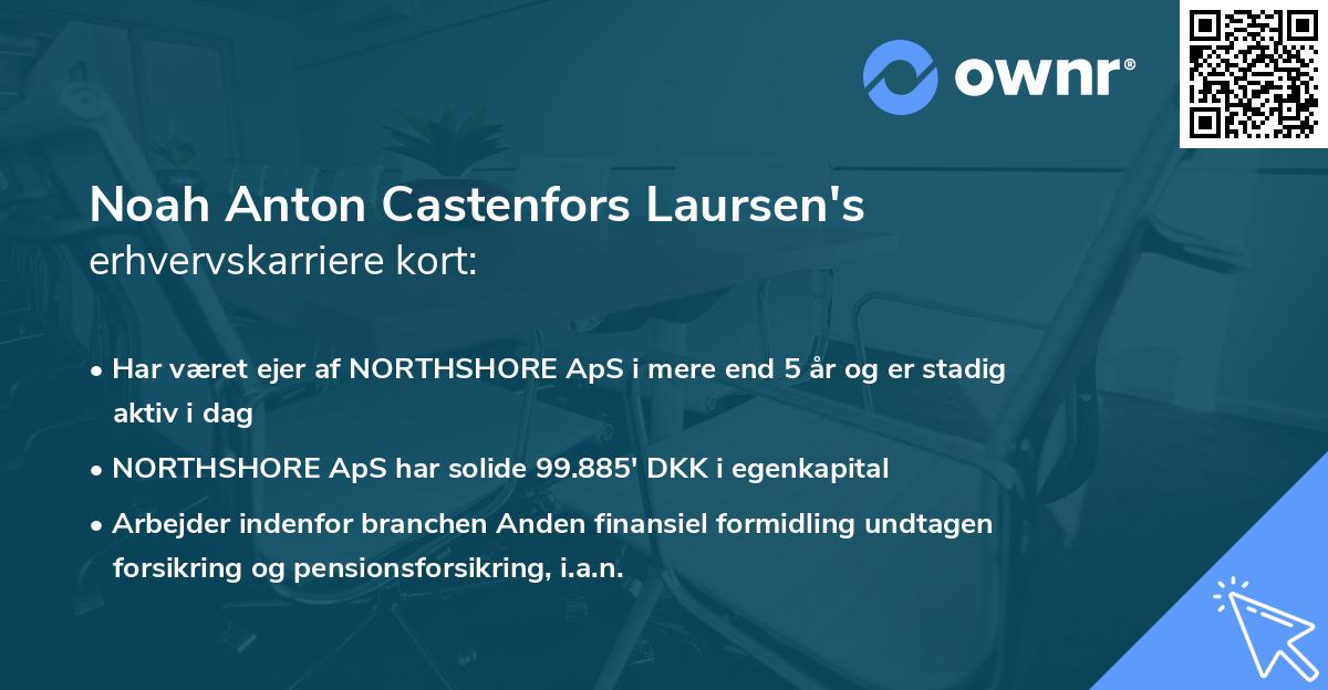 Noah Anton Castenfors Laursen's erhvervskarriere kort