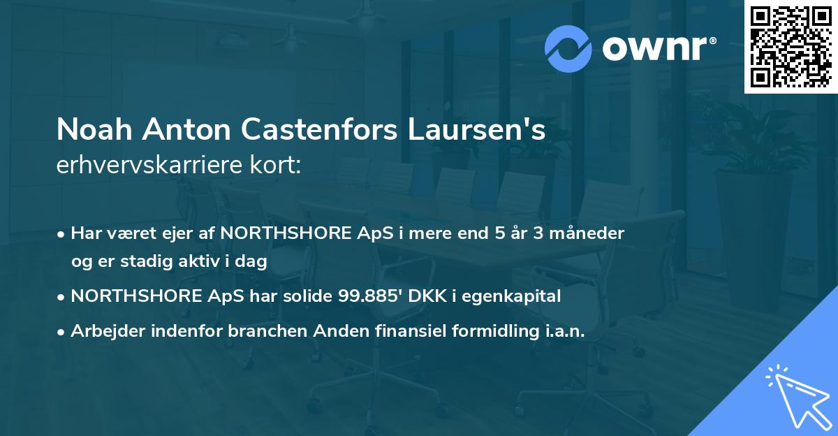 Noah Anton Castenfors Laursen's erhvervskarriere kort