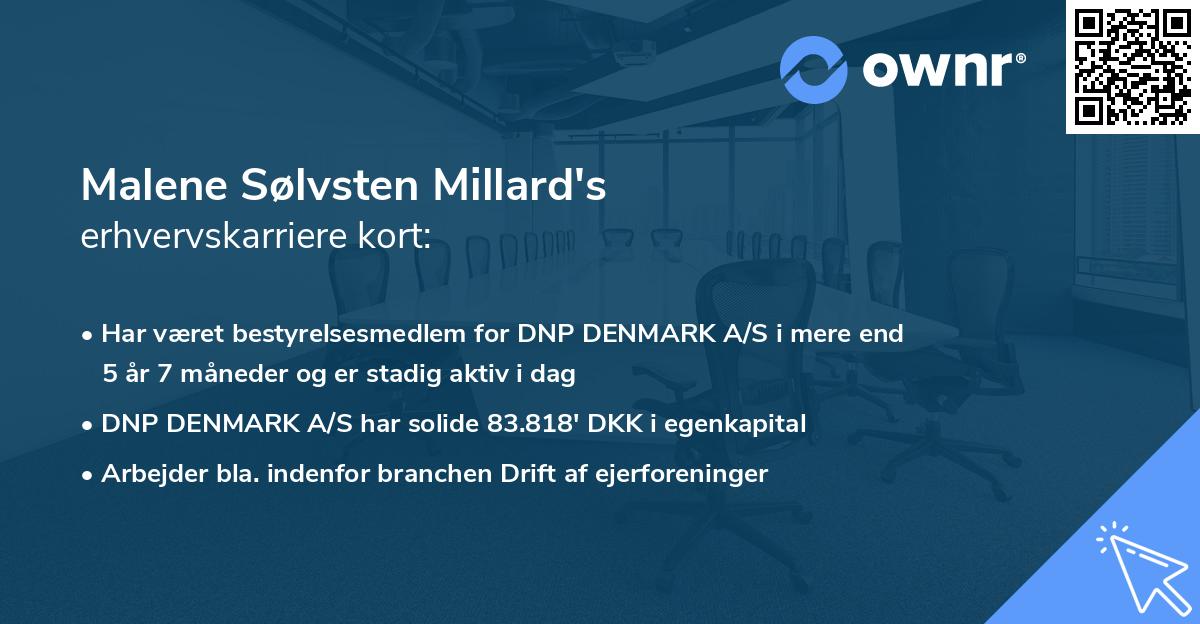 Malene Sølvsten Millard's erhvervskarriere kort