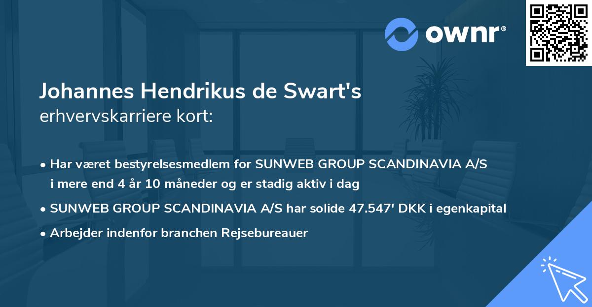 Johannes Hendrikus de Swart's erhvervskarriere kort