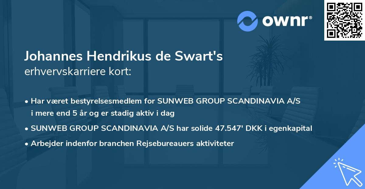 Johannes Hendrikus de Swart's erhvervskarriere kort