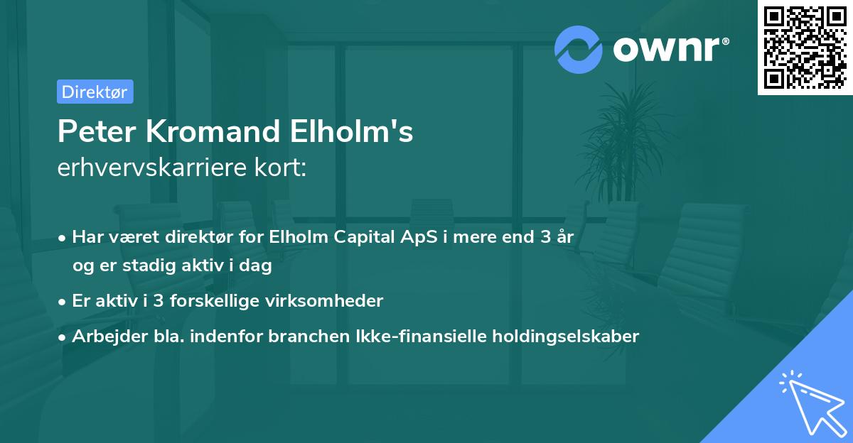 Peter Kromand Elholm's erhvervskarriere kort