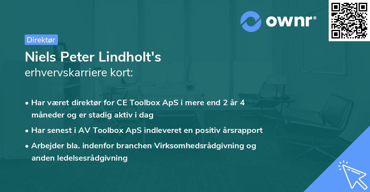 Niels Peter Lindholt's erhvervskarriere kort