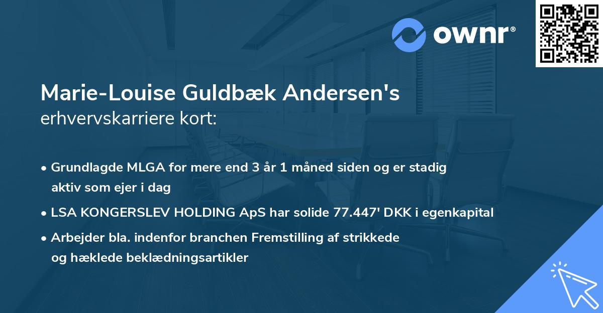 Marie-Louise Guldbæk Andersen's erhvervskarriere kort