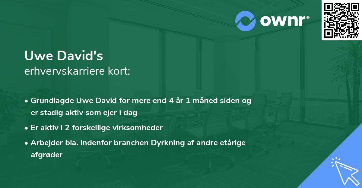 Uwe David's erhvervskarriere kort