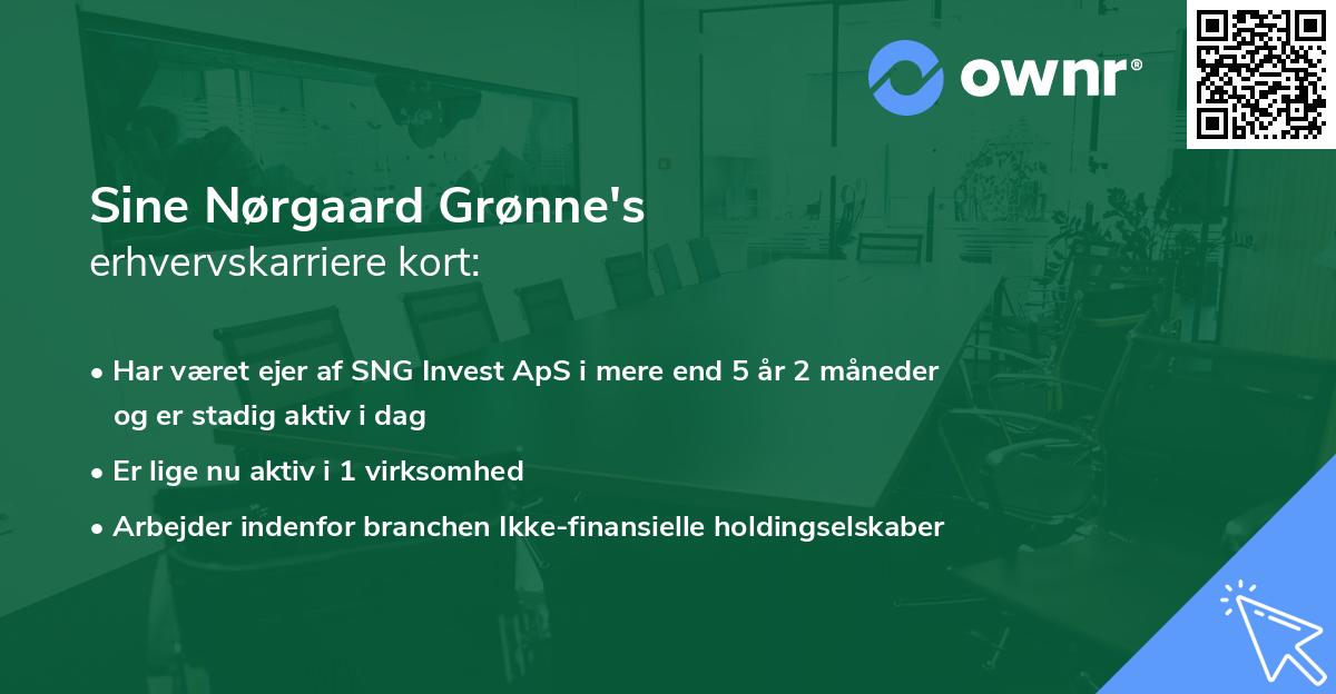 Sine Nørgaard Grønne's erhvervskarriere kort