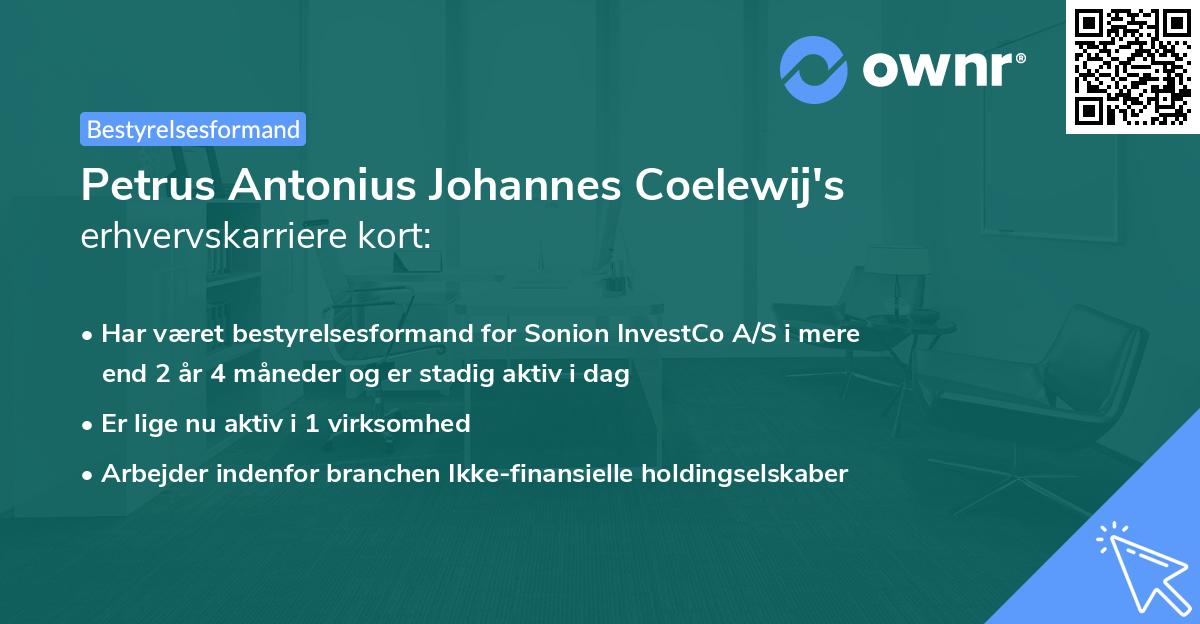 Petrus Antonius Johannes Coelewij's erhvervskarriere kort