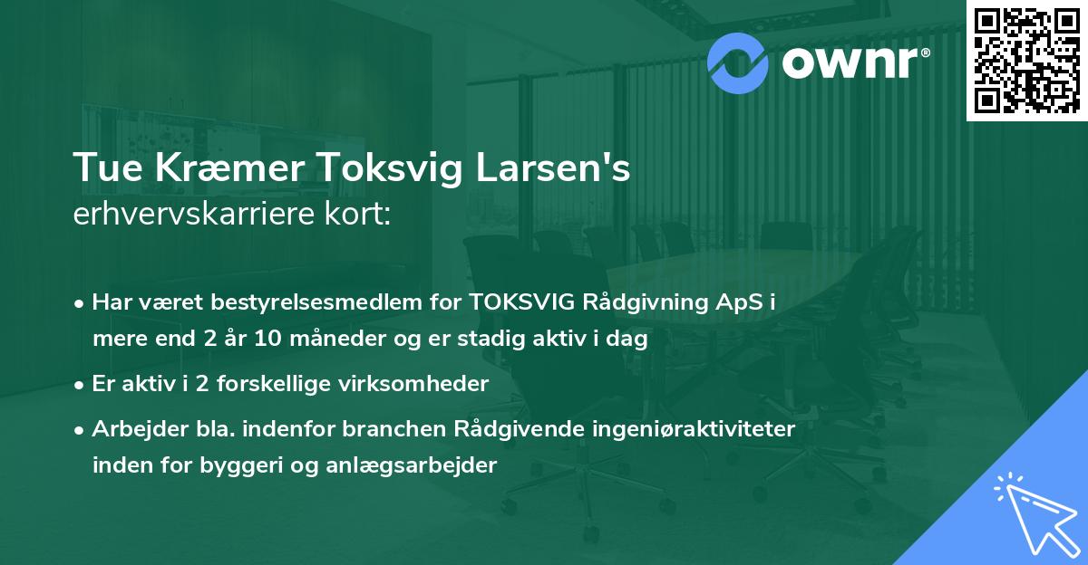 Tue Kræmer Toksvig Larsen's erhvervskarriere kort