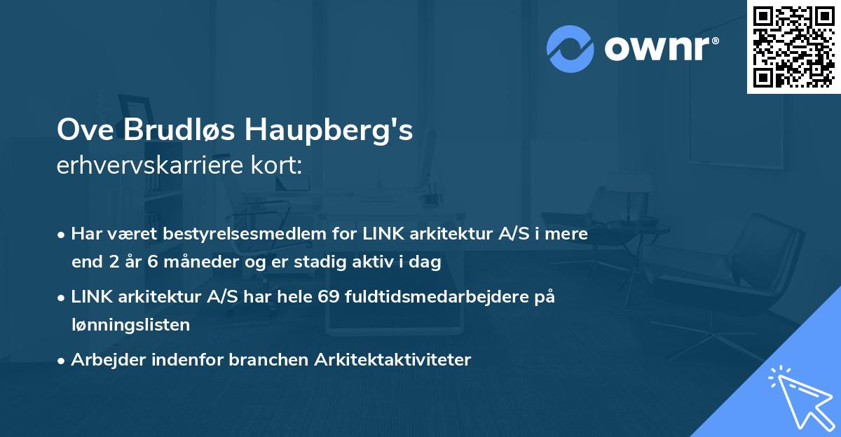 Ove Brudløs Haupberg's erhvervskarriere kort