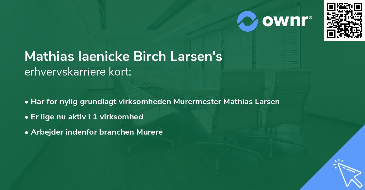 Mathias Iaenicke Birch Larsen's erhvervskarriere kort