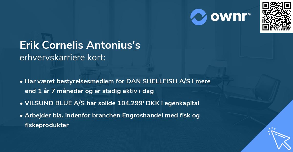 Erik Cornelis Antonius's erhvervskarriere kort