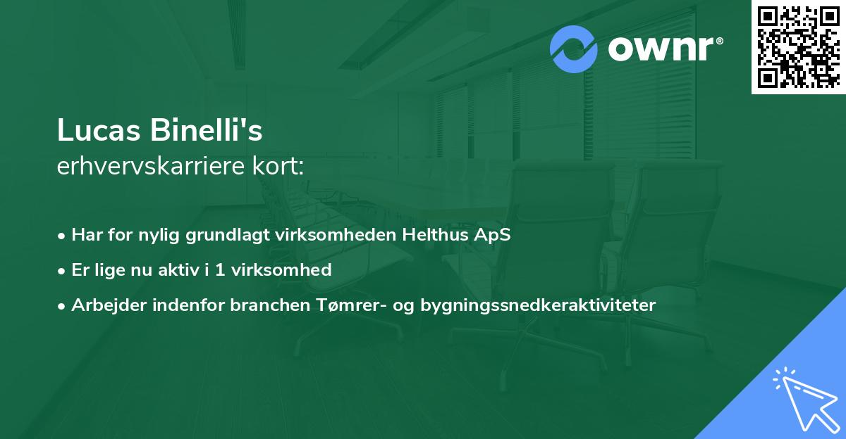 Lucas Binelli's erhvervskarriere kort