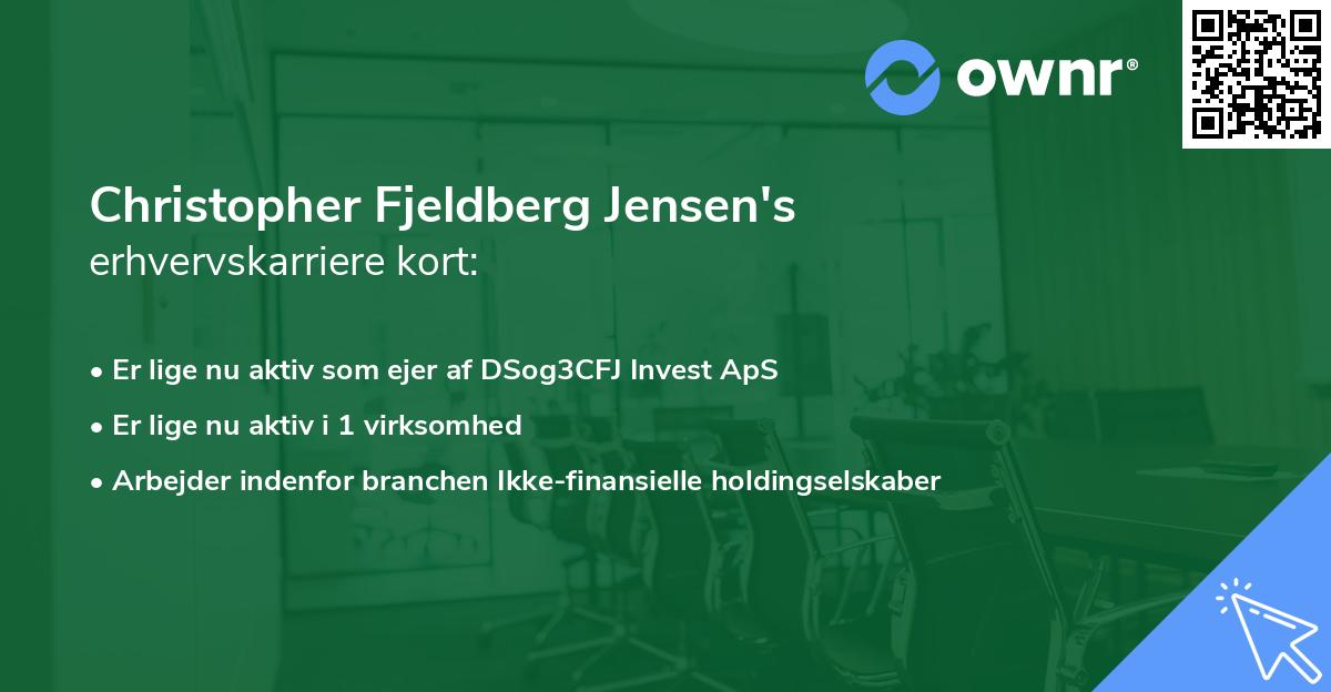 Christopher Fjeldberg Jensen's erhvervskarriere kort
