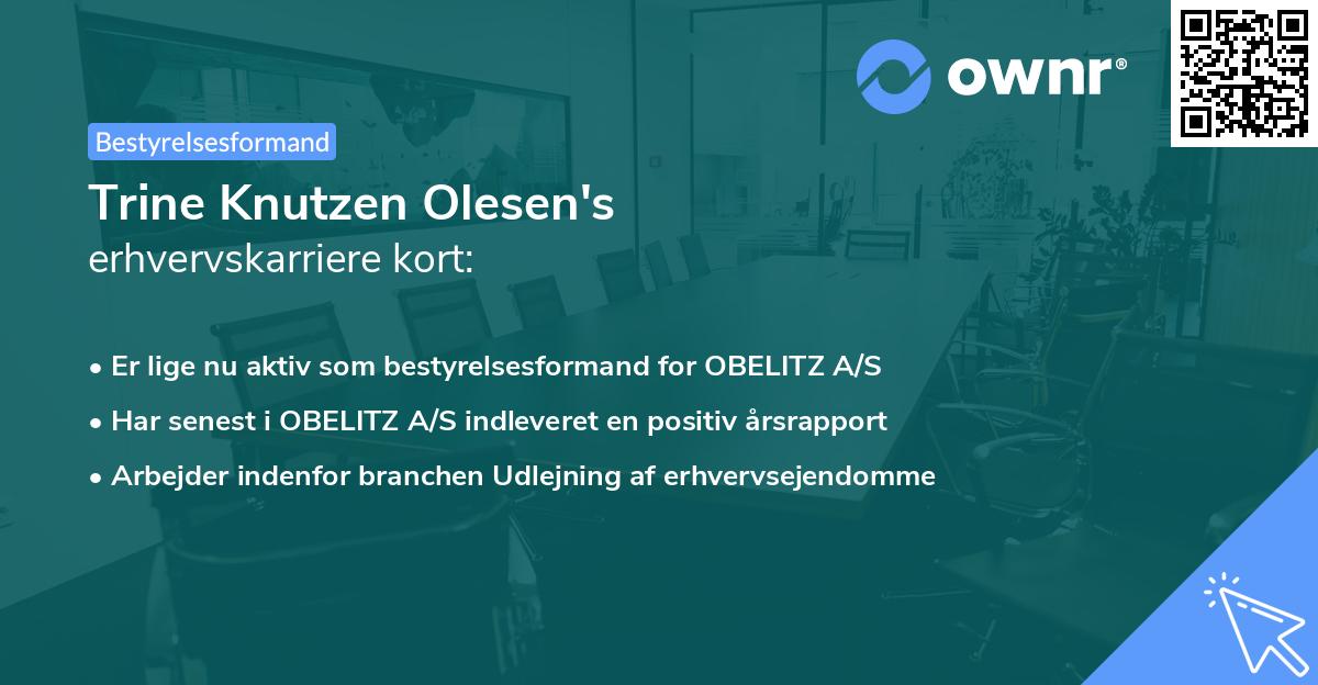 Trine Knutzen Olesen's erhvervskarriere kort