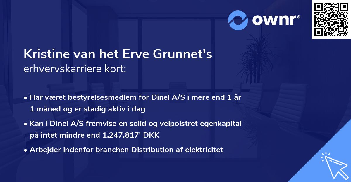 Kristine van het Erve Grunnet's erhvervskarriere kort