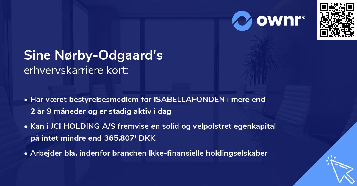 Sine Nørby-Odgaard's erhvervskarriere kort