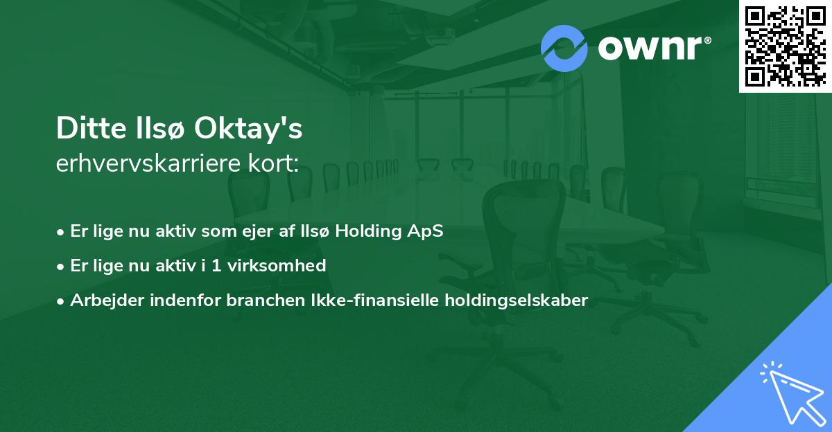 Ditte Ilsø Oktay's erhvervskarriere kort