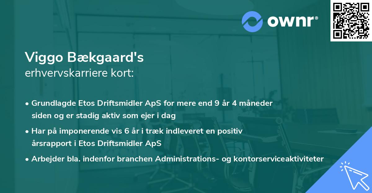 Viggo Bækgaard's erhvervskarriere kort
