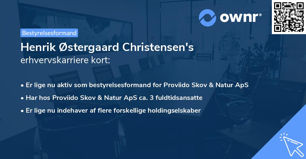 Henrik Østergaard Christensen's erhvervskarriere kort