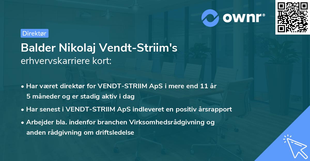Balder Nikolaj Vendt-Striim's erhvervskarriere kort