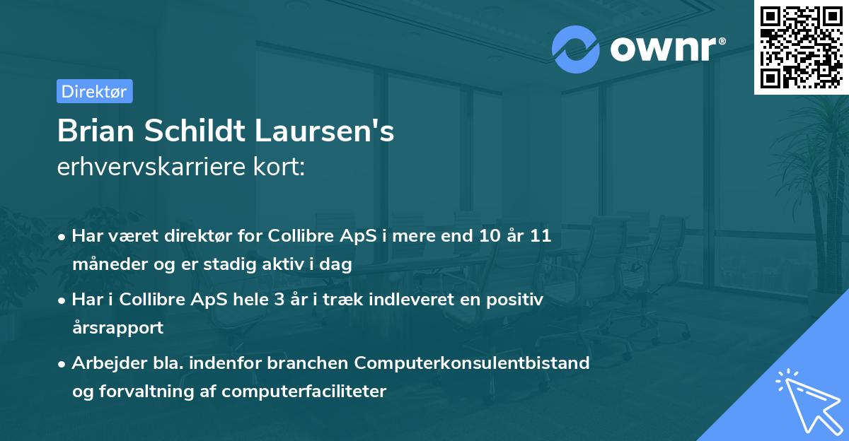 Brian Schildt Laursen's erhvervskarriere kort