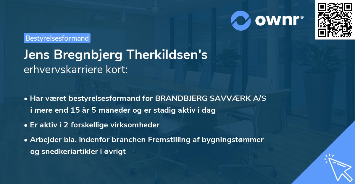 Jens Bregnbjerg Therkildsen's erhvervskarriere kort