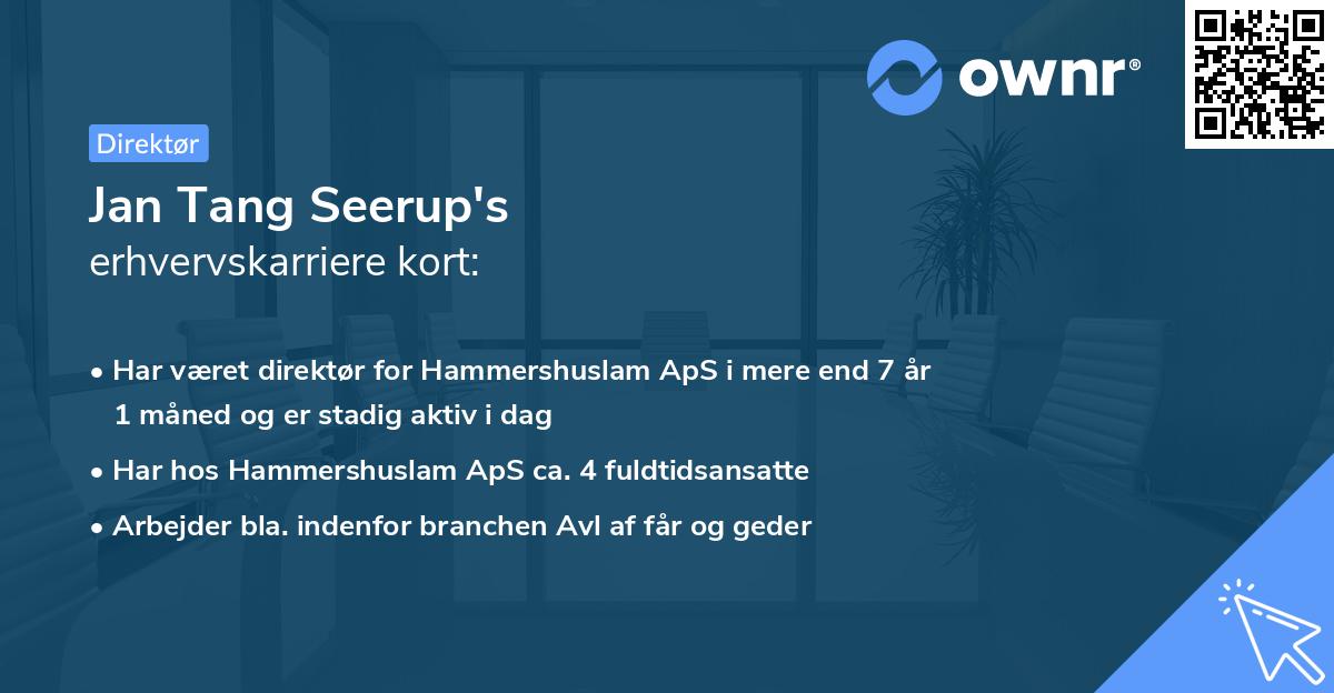 Jan Tang Seerup's erhvervskarriere kort