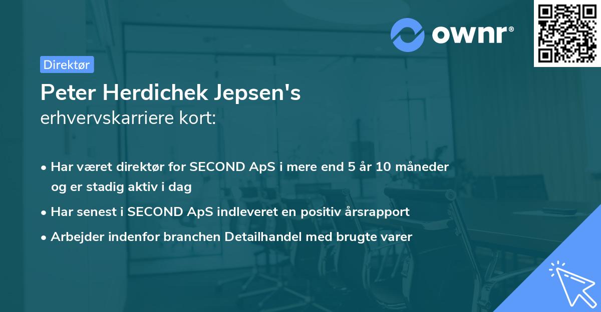 Peter Herdichek Jepsen's erhvervskarriere kort