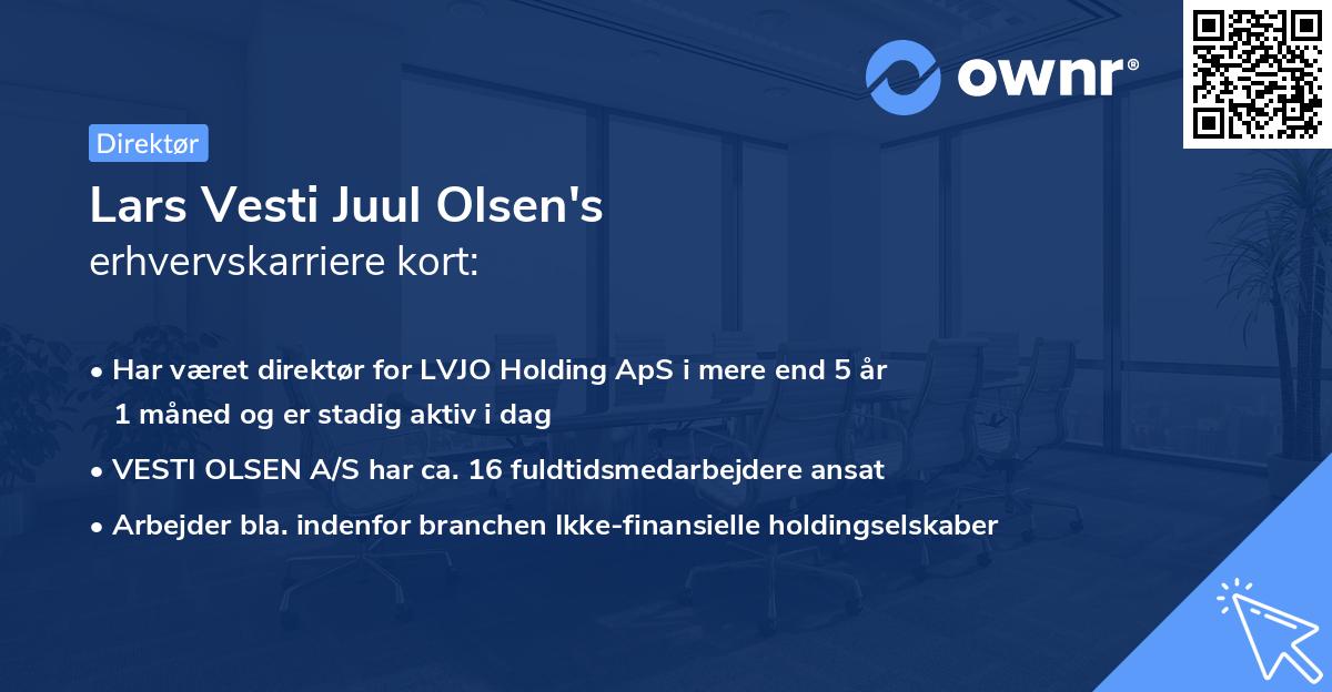 Lars Vesti Juul Olsen's erhvervskarriere kort