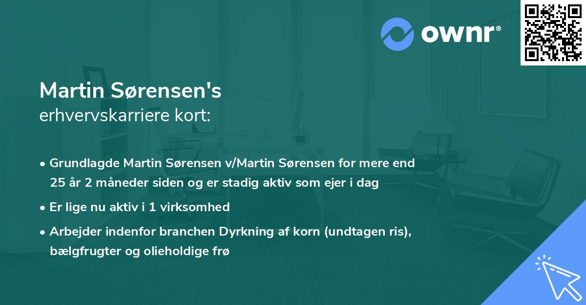 Martin Sørensen's erhvervskarriere kort