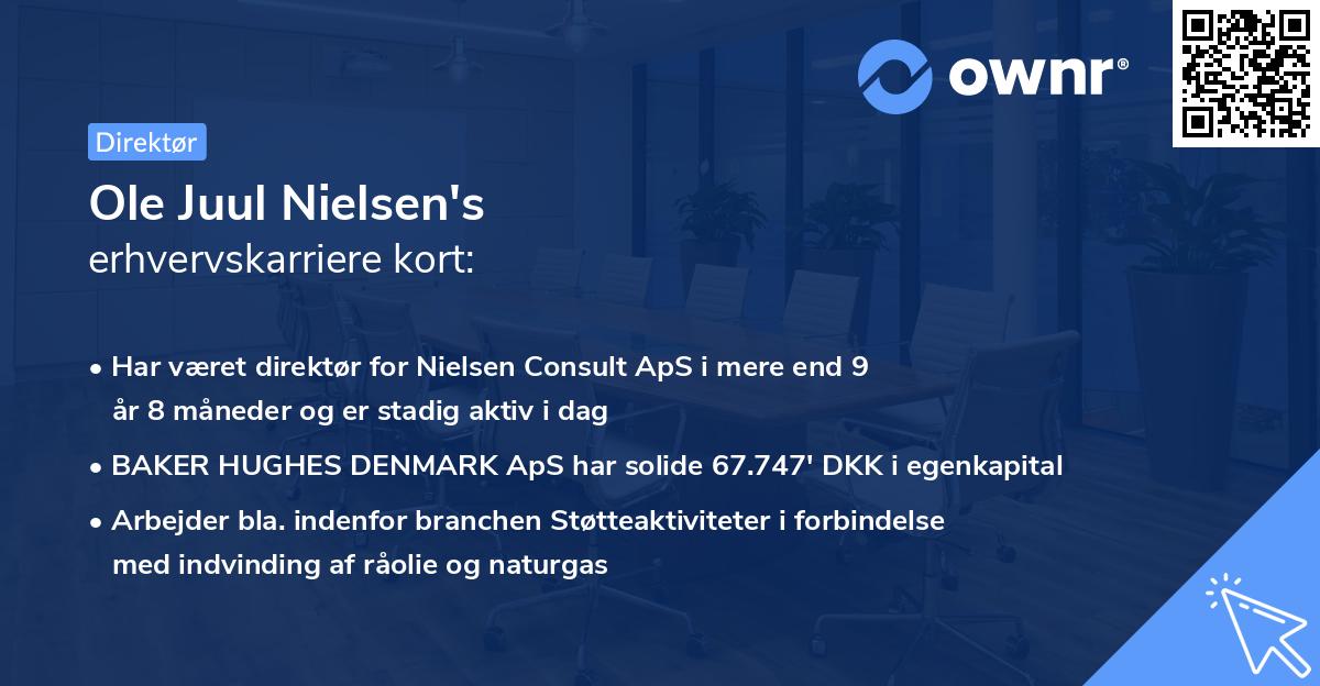 Ole Juul Nielsen's erhvervskarriere kort