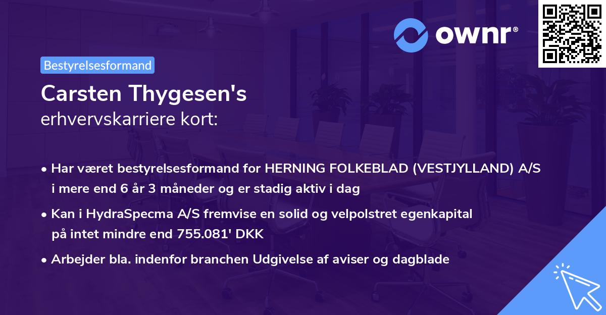 Carsten Thygesen's erhvervskarriere kort