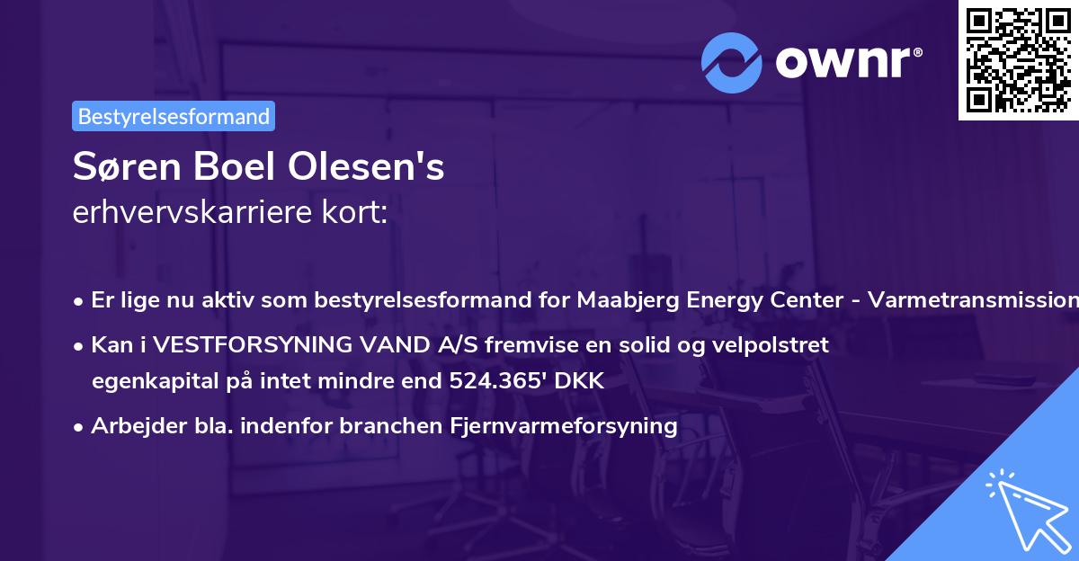 Søren Boel Olesen's erhvervskarriere kort