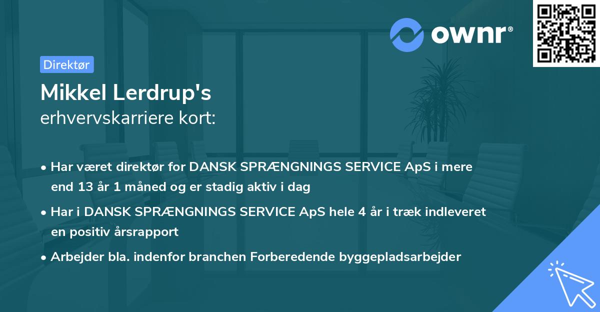Mikkel Lerdrup's erhvervskarriere kort