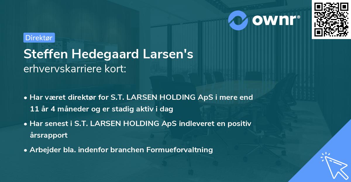 Steffen Hedegaard Larsen's erhvervskarriere kort