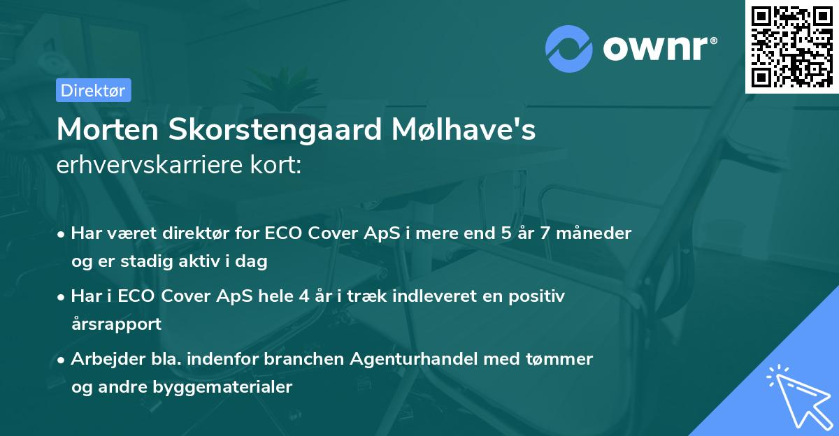 Morten Skorstengaard Mølhave's erhvervskarriere kort