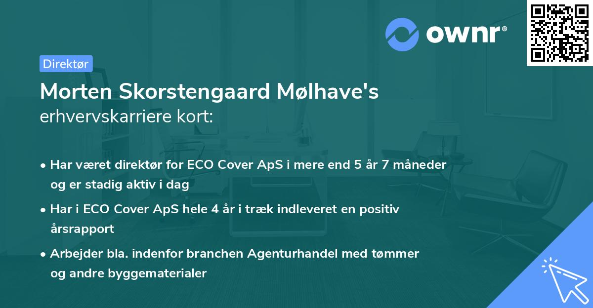 Morten Skorstengaard Mølhave's erhvervskarriere kort
