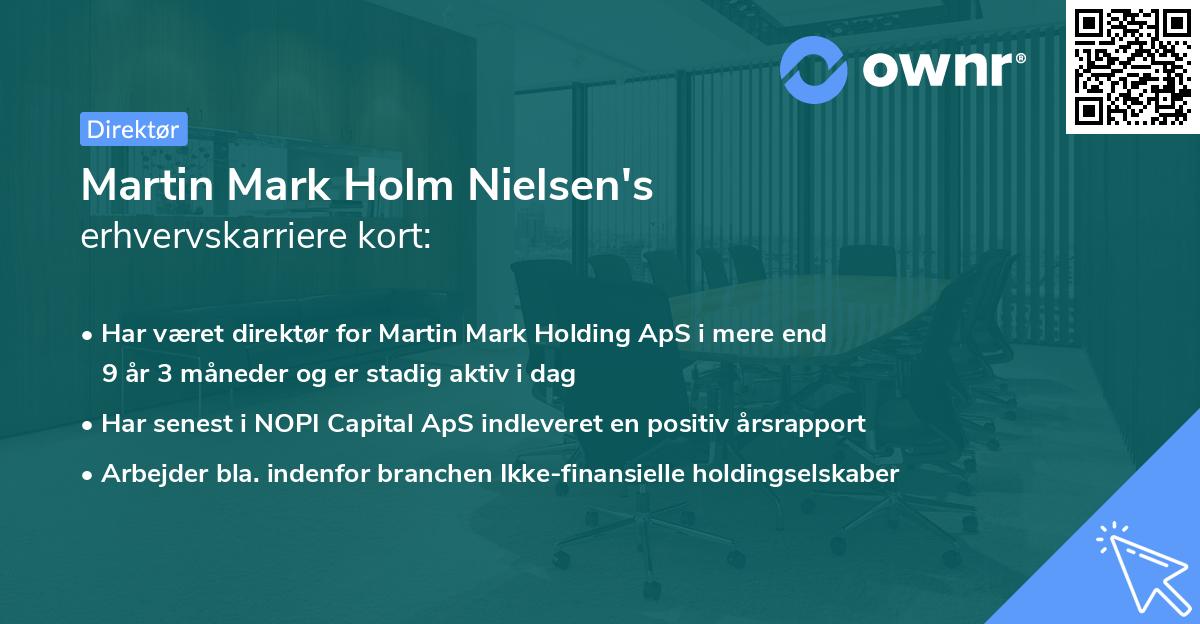 Martin Mark Holm Nielsen's erhvervskarriere kort