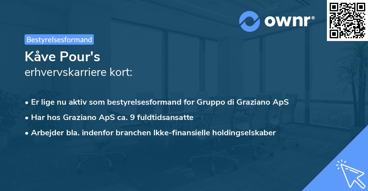 Kåve Pour's erhvervskarriere kort