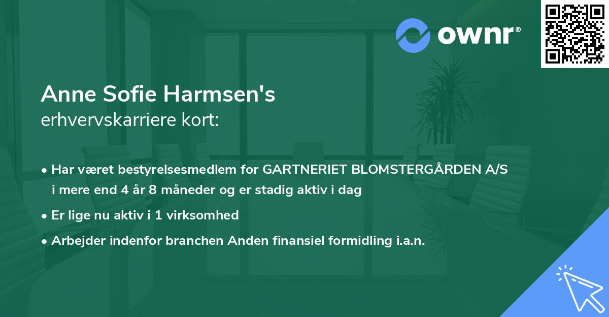 Anne Sofie Harmsen's erhvervskarriere kort