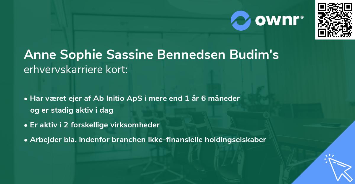 Anne Sophie Sassine Bennedsen Budim's erhvervskarriere kort