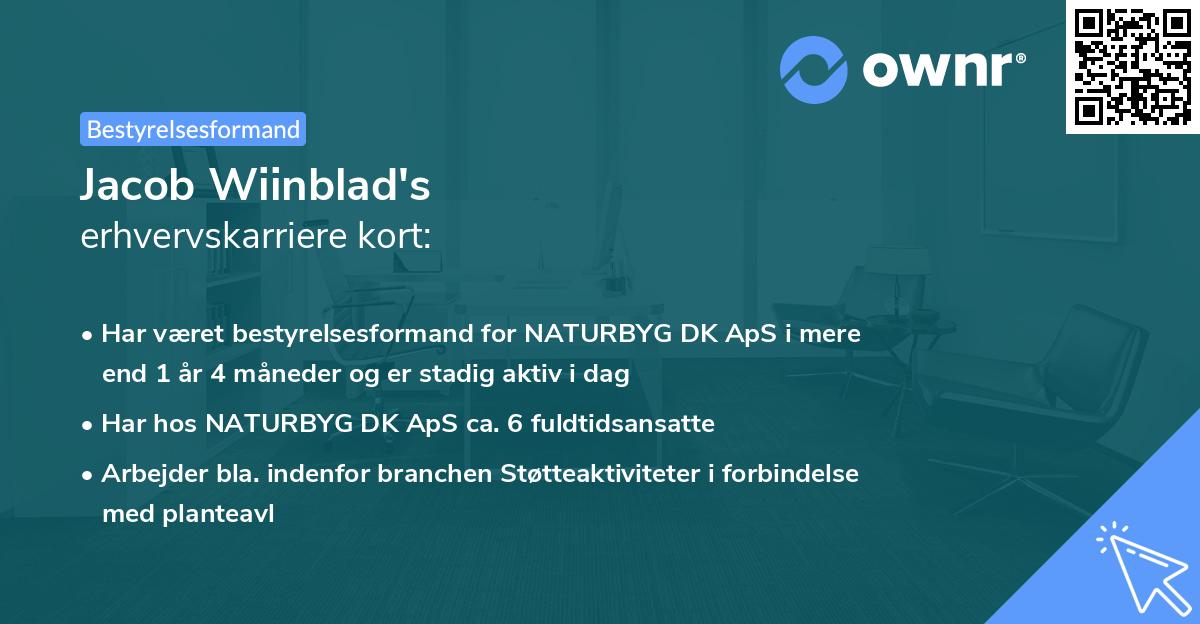 Jacob Wiinblad's erhvervskarriere kort