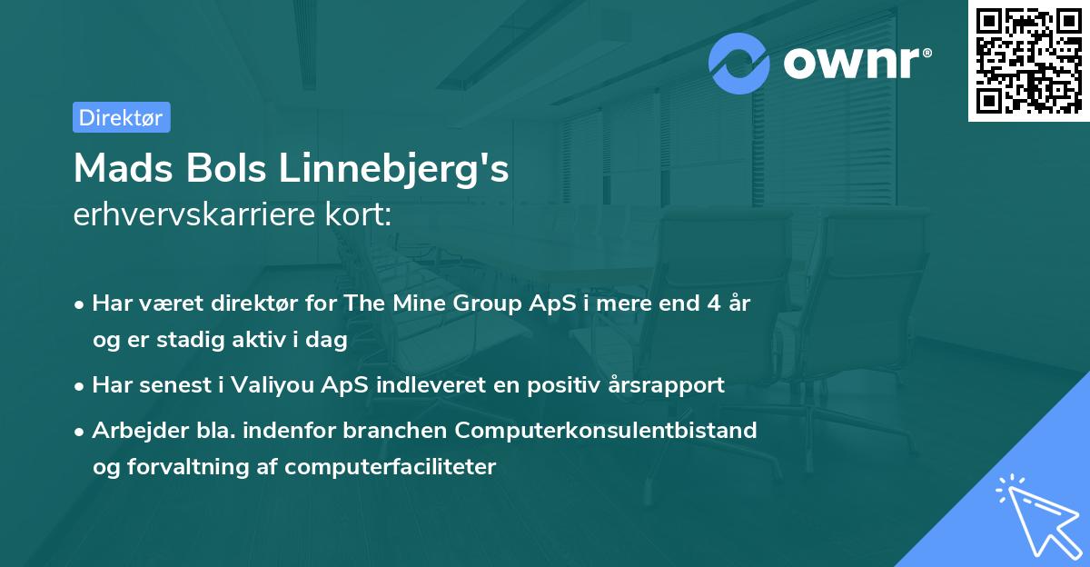 Mads Bols Linnebjerg's erhvervskarriere kort