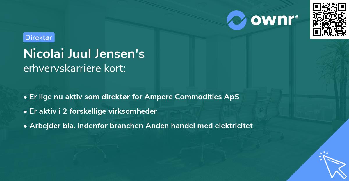 Nicolai Juul Jensen's erhvervskarriere kort