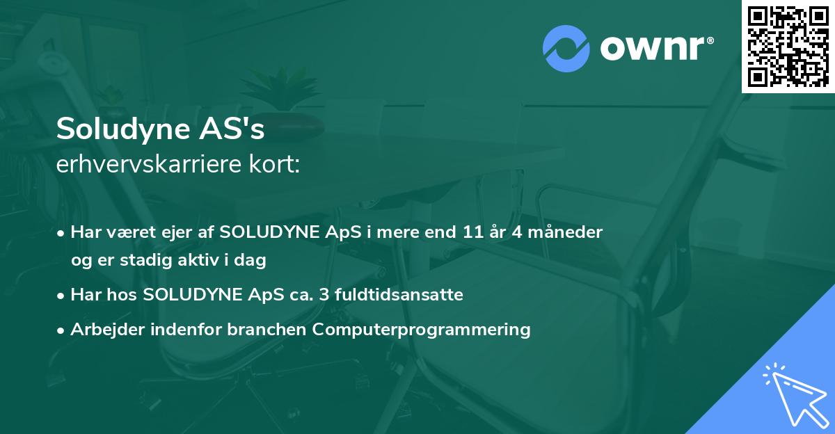 Soludyne AS's erhvervskarriere kort