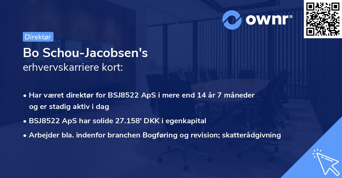 Bo Schou-Jacobsen's erhvervskarriere kort