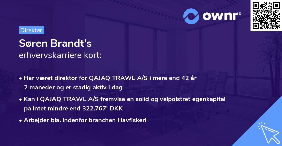 Søren Brandt's erhvervskarriere kort
